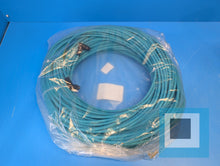 将图片加载到图库查看器，Brad Connectivity 1201080709 M12 Ethernet Cable Assembly E11A06304M800 - NEW
