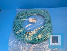 将图片加载到图库查看器，Brad Connectivity 1300480325 M12 Ethernet Cable Assembly E11A06004M800 - NEW
